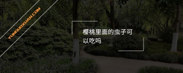 櫻桃里面的蟲子可以吃嗎？
