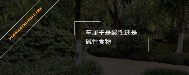 車厘子是酸性還是堿性食物？