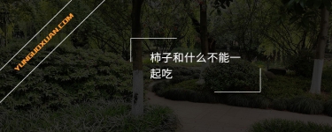柿子和什么不能一起吃？