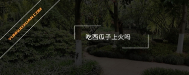 吃西瓜子上火嗎？