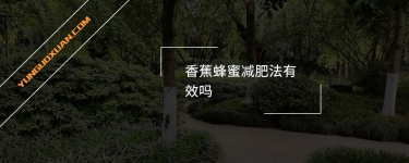 香蕉蜂蜜減肥法有效嗎？