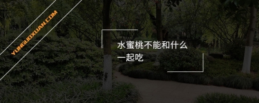 水蜜桃不能和什么一起吃？