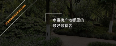 水蜜桃產(chǎn)地哪里的最好最有名？