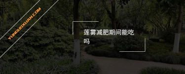 蓮霧減肥期間能吃嗎？