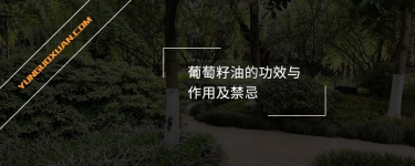 葡萄籽油的功效與作用及禁忌