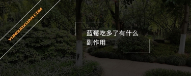藍莓吃多了有什么副作用？