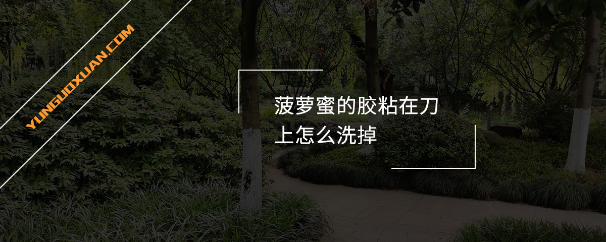 菠蘿蜜的膠粘在刀上怎么洗掉？