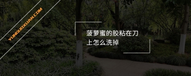 菠蘿蜜的膠粘在刀上怎么洗掉？