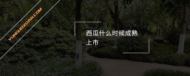 西瓜什么時(shí)候成熟上市？