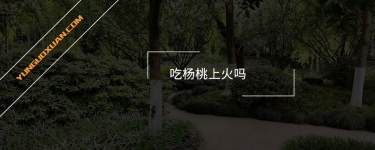 吃楊桃上火嗎？