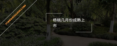 楊桃?guī)自路莩墒焐鲜校? width=
