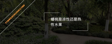 蟠桃是涼性還是熱性水果？