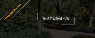 孕婦可以吃蟠桃嗎？