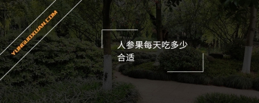 人參果每天吃多少合適？