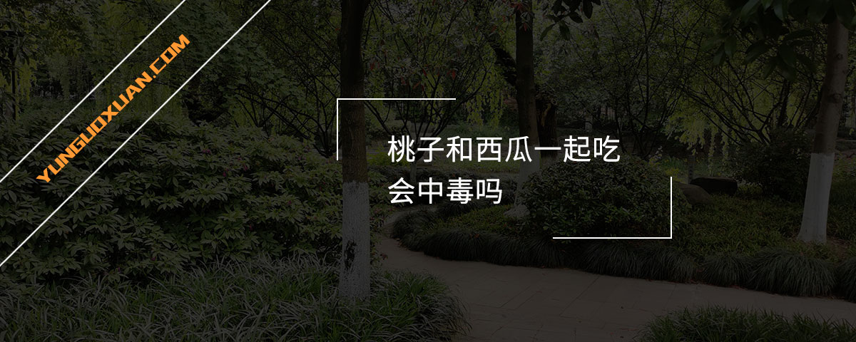 桃子和西瓜一起吃會(huì)中毒嗎？