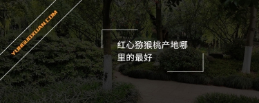 紅心獼猴桃產(chǎn)地哪里的最好？