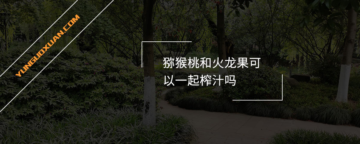 獼猴桃和火龍果可以一起榨汁嗎？