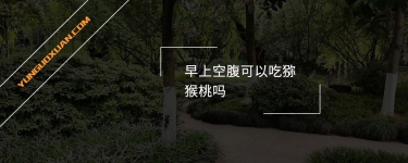 早上空腹可以吃獼猴桃嗎？
