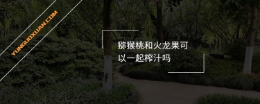 獼猴桃和火龍果可以一起榨汁嗎？