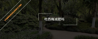 吃西梅減肥嗎?
