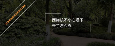 西梅核不小心咽下去了怎么辦?