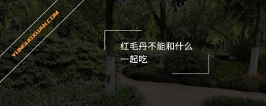 紅毛丹不能和什么一起吃？