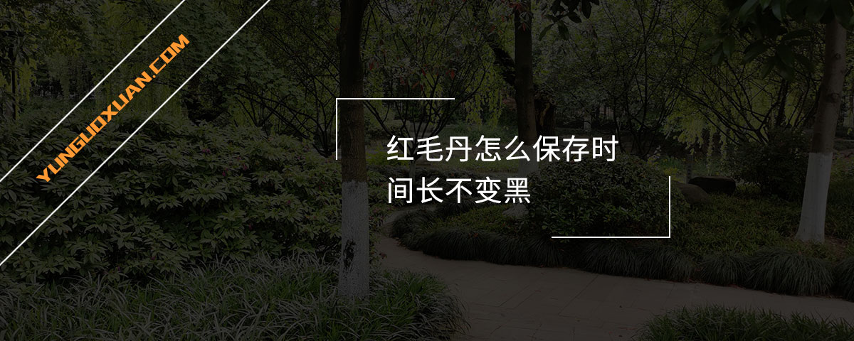 紅毛丹怎么保存時(shí)間長(zhǎng)不變黑？