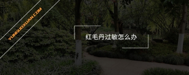 紅毛丹過敏怎么辦？