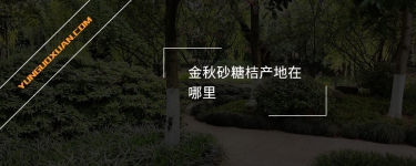 金秋砂糖桔產(chǎn)地在哪里？