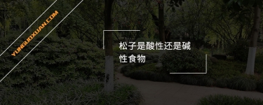 松子是酸性還是堿性食物？