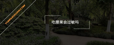 吃腰果會過敏嗎?