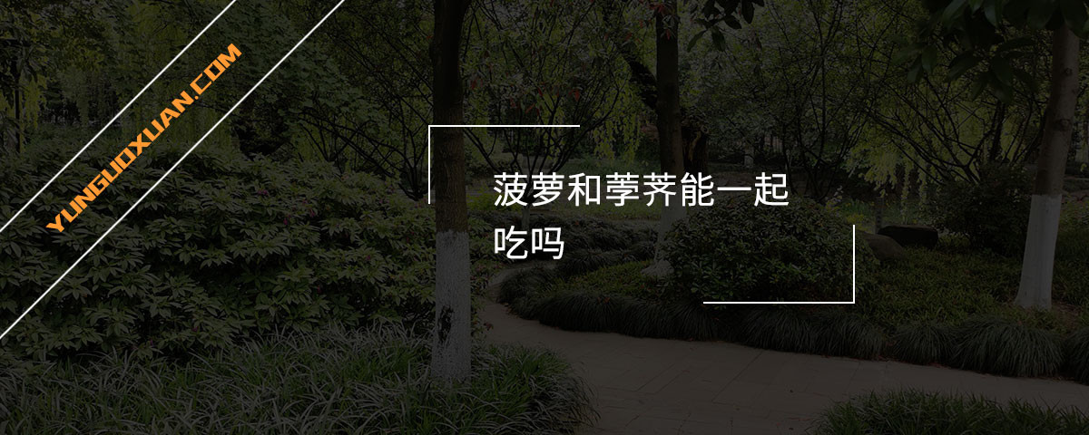 菠蘿和荸薺能一起吃嗎？