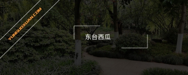 東臺西瓜