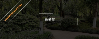 新會(huì)柑