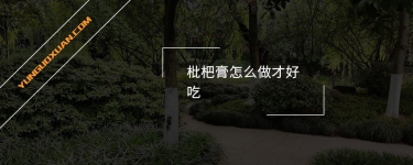 枇杷膏怎么做才好吃？