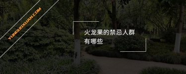 火龍果的禁忌人群有哪些？