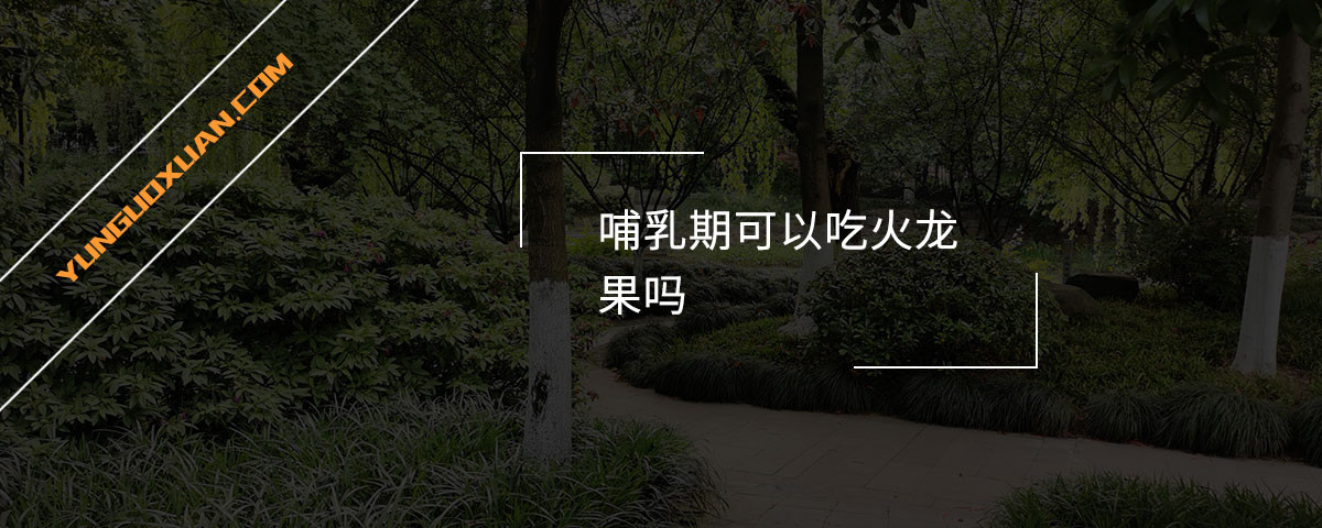 哺乳期可以吃火龍果嗎？