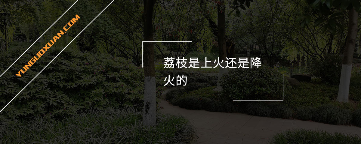 荔枝是上火還是降火的？
