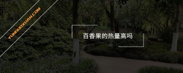 百香果的熱量高嗎？