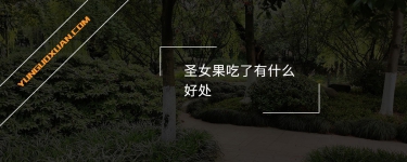 圣女果吃了有什么好處？