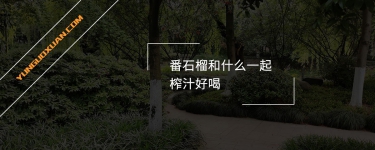 番石榴和什么一起榨汁好喝？