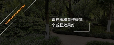 青檸檬和黃檸檬哪個減肥效果好？