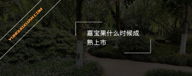 嘉寶果什么時候成熟上市？